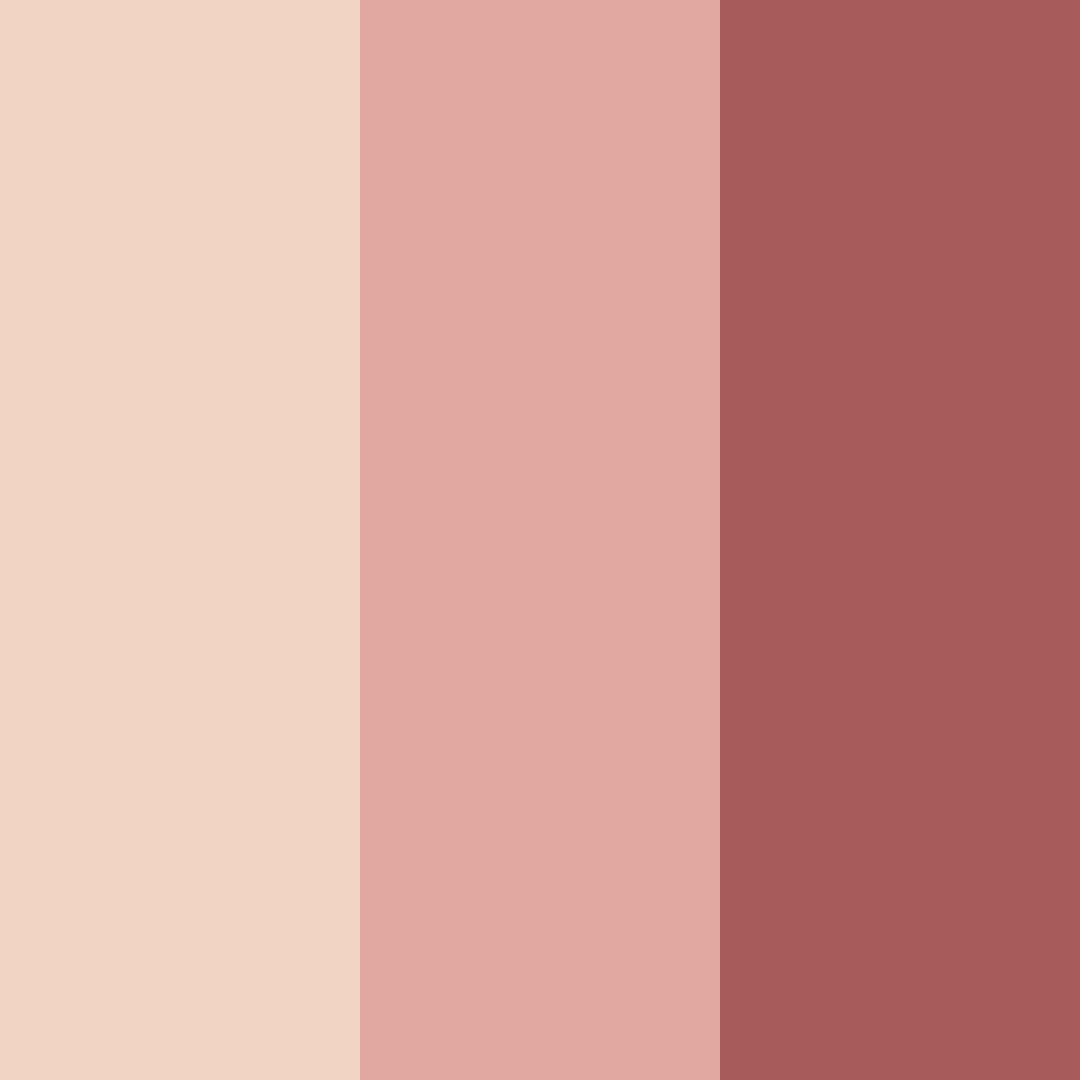 Download rose red color palette PNG image (square)