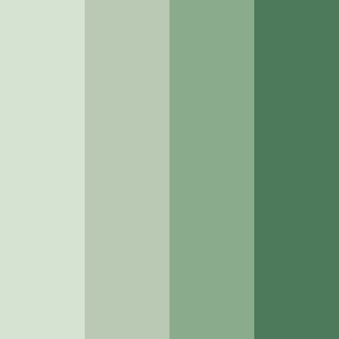 Download soft sage green color palette PNG image (square)