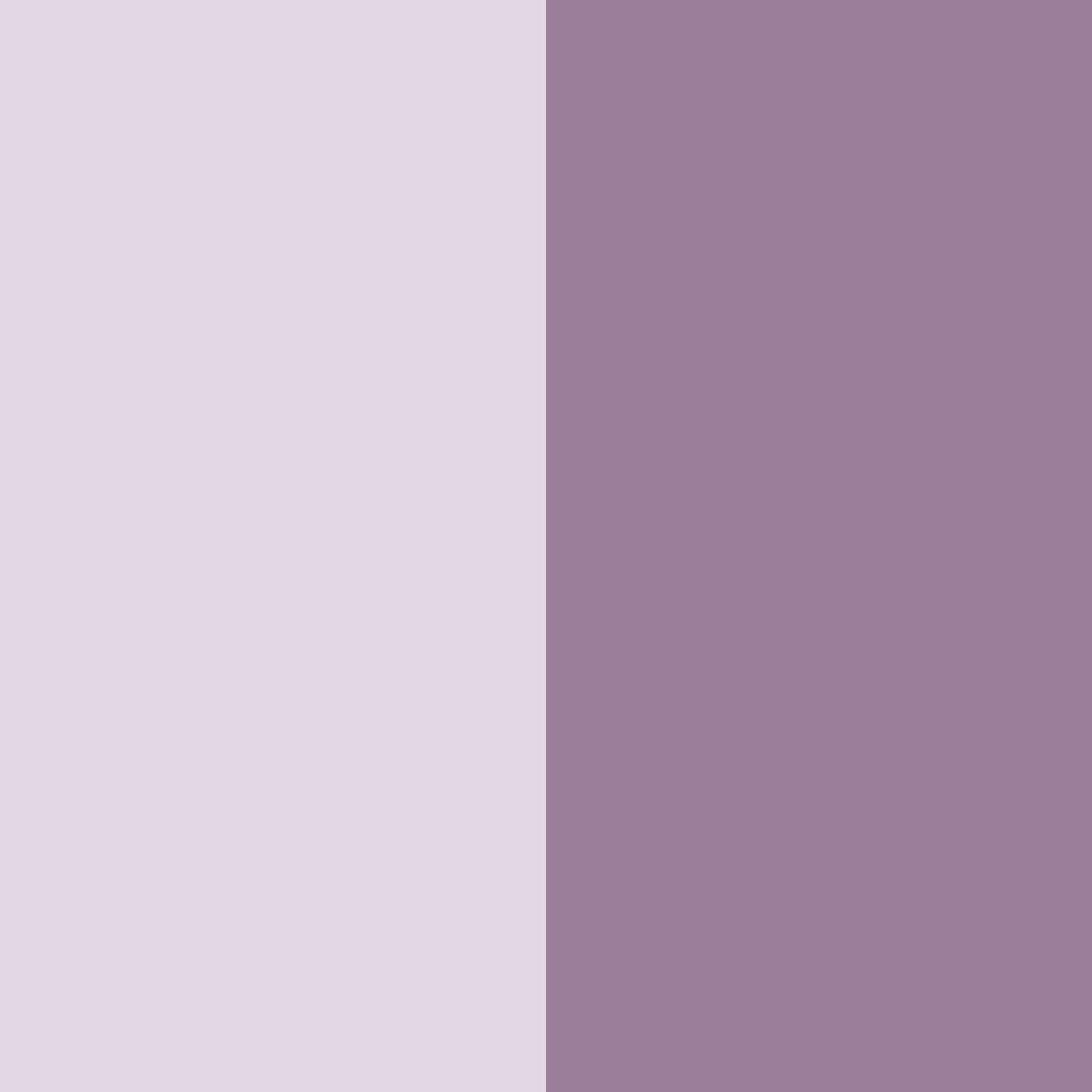 Download lavender ash elegance color palette PNG image (square)