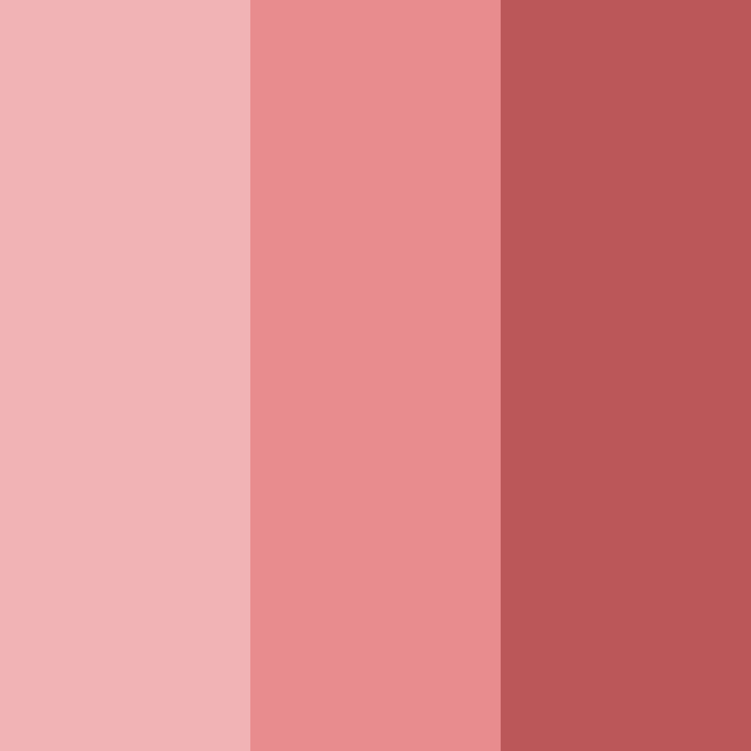 Download blushing ember color palette PNG image (square)