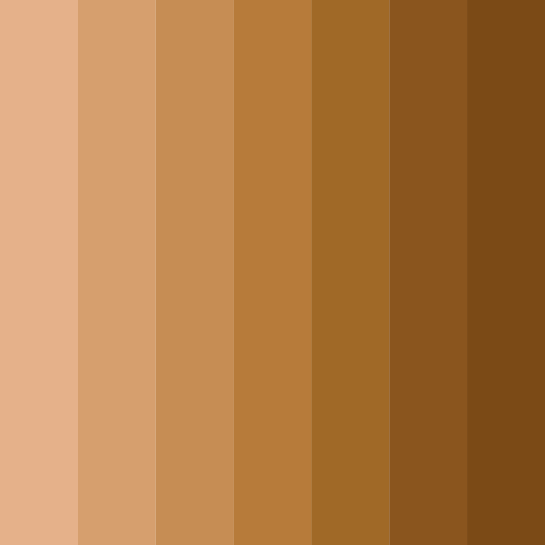 Download rustic ember color palette PNG image (square)