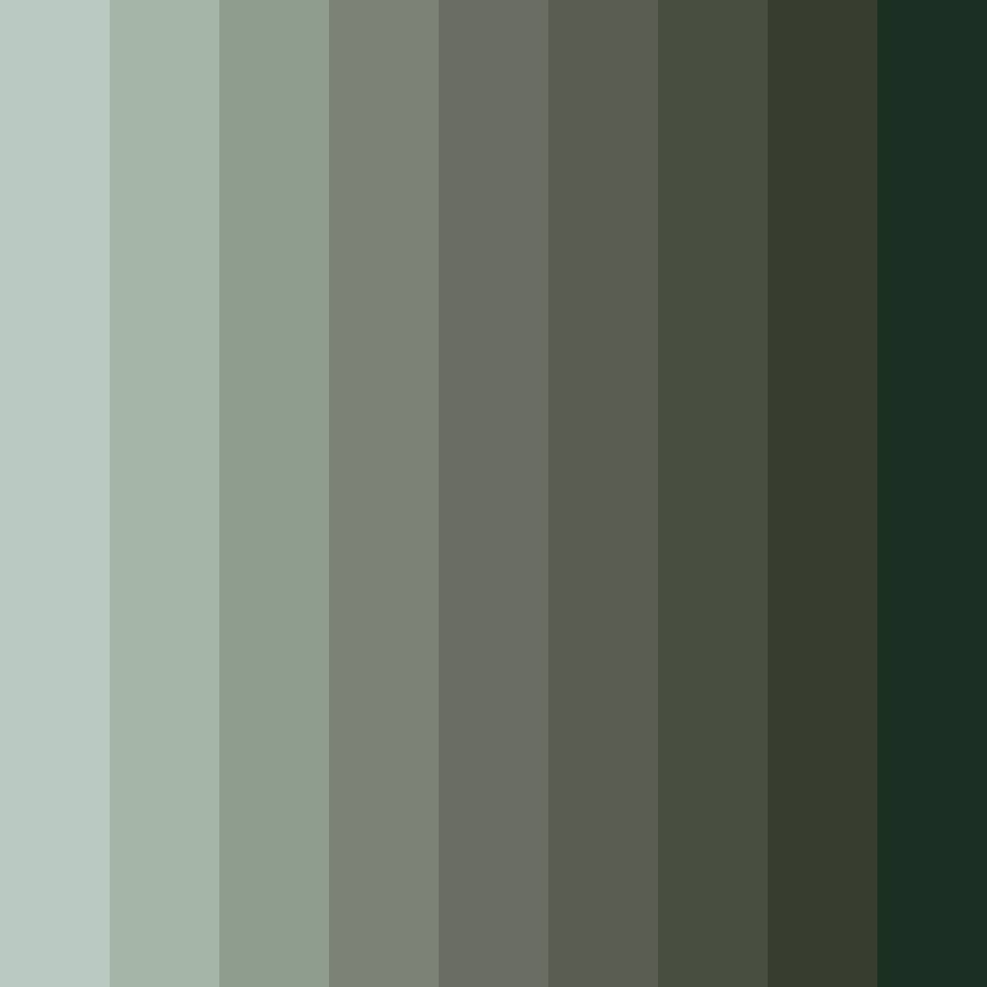 Download forest shadows color palette PNG image (square)