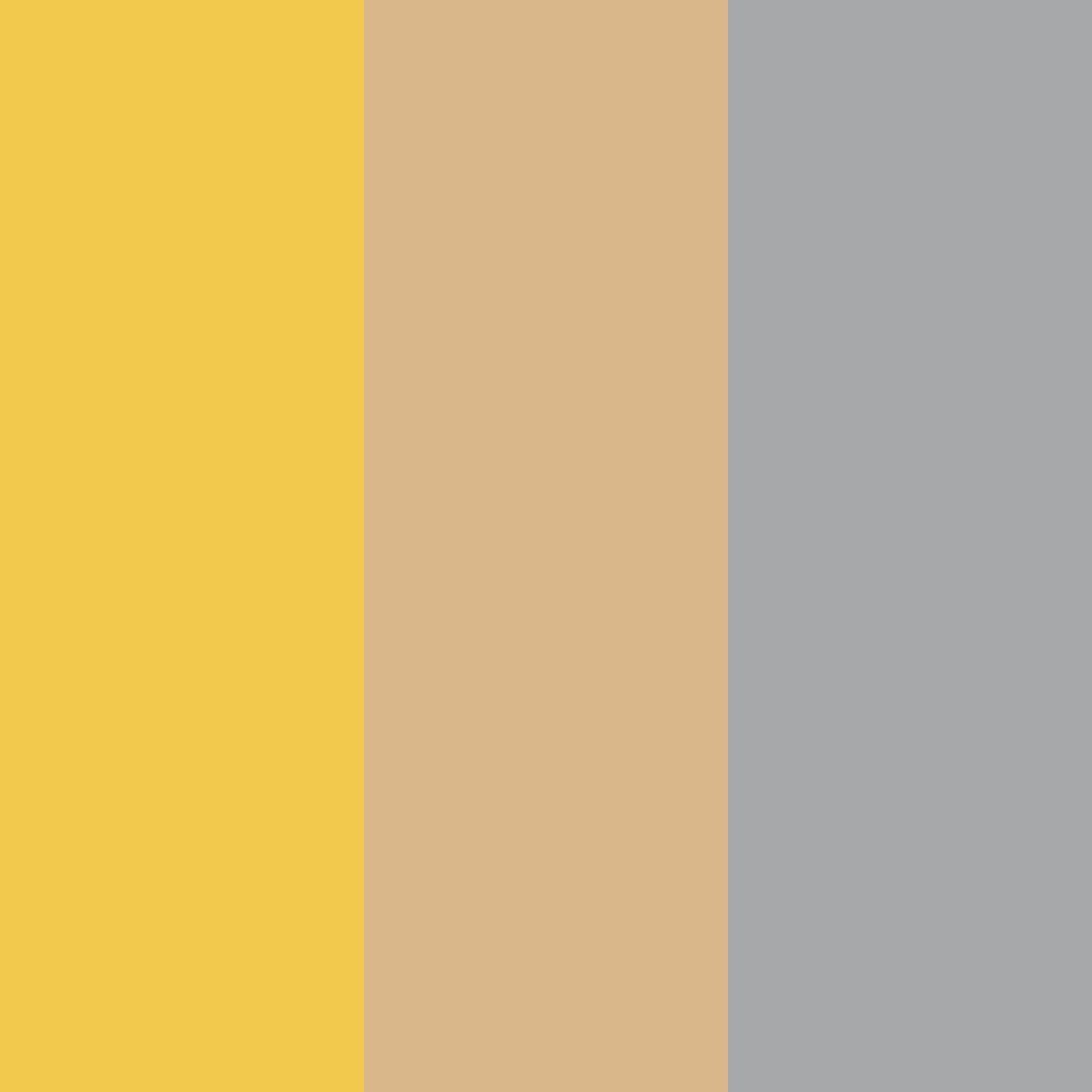 Download amber warmth color palette PNG image (square)