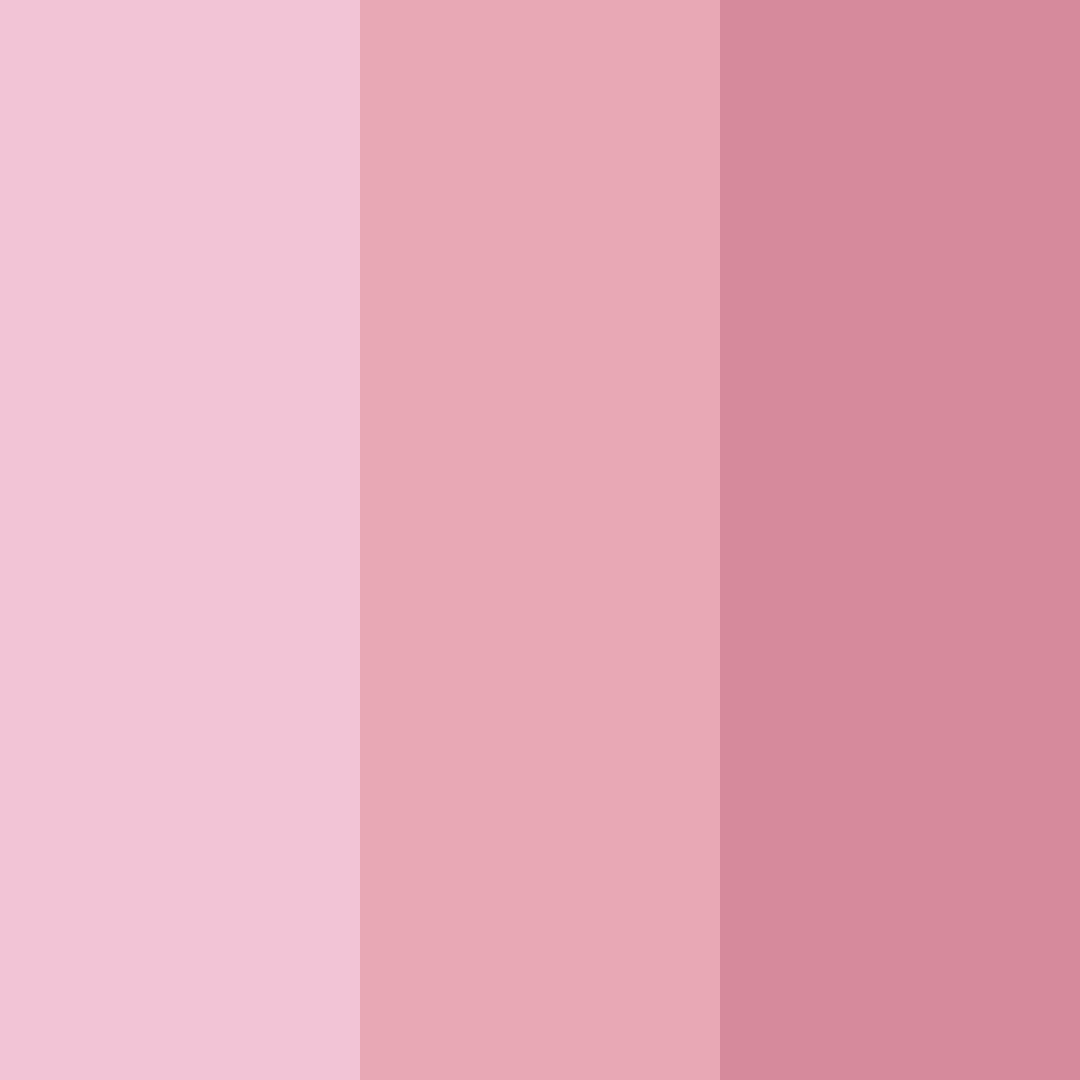 Download pink blossom color palette PNG image (square)