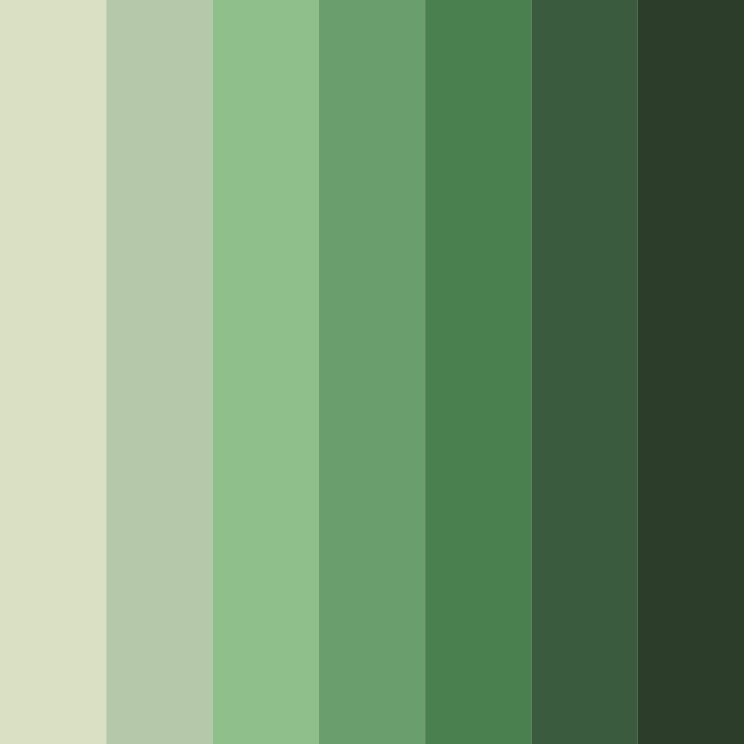 Download forest whisper color palette PNG image (square)