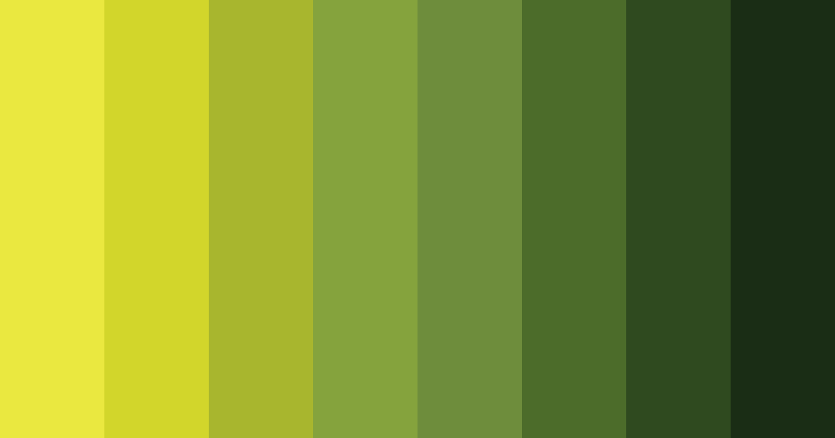 Download lush canopy color palette PNG image (landscape)