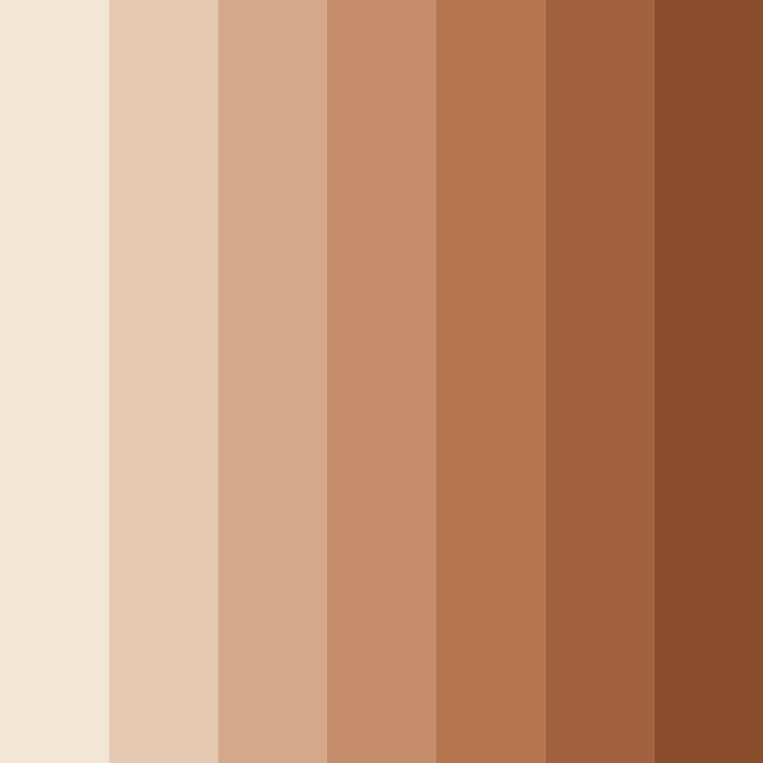 Download warm earth embrace color palette PNG image (square)