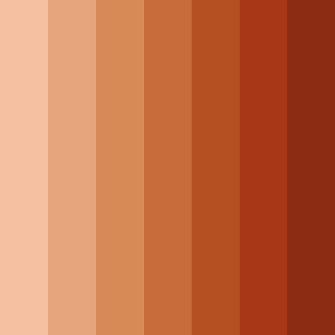 Download shades of cinnamon color palette PNG image (square)