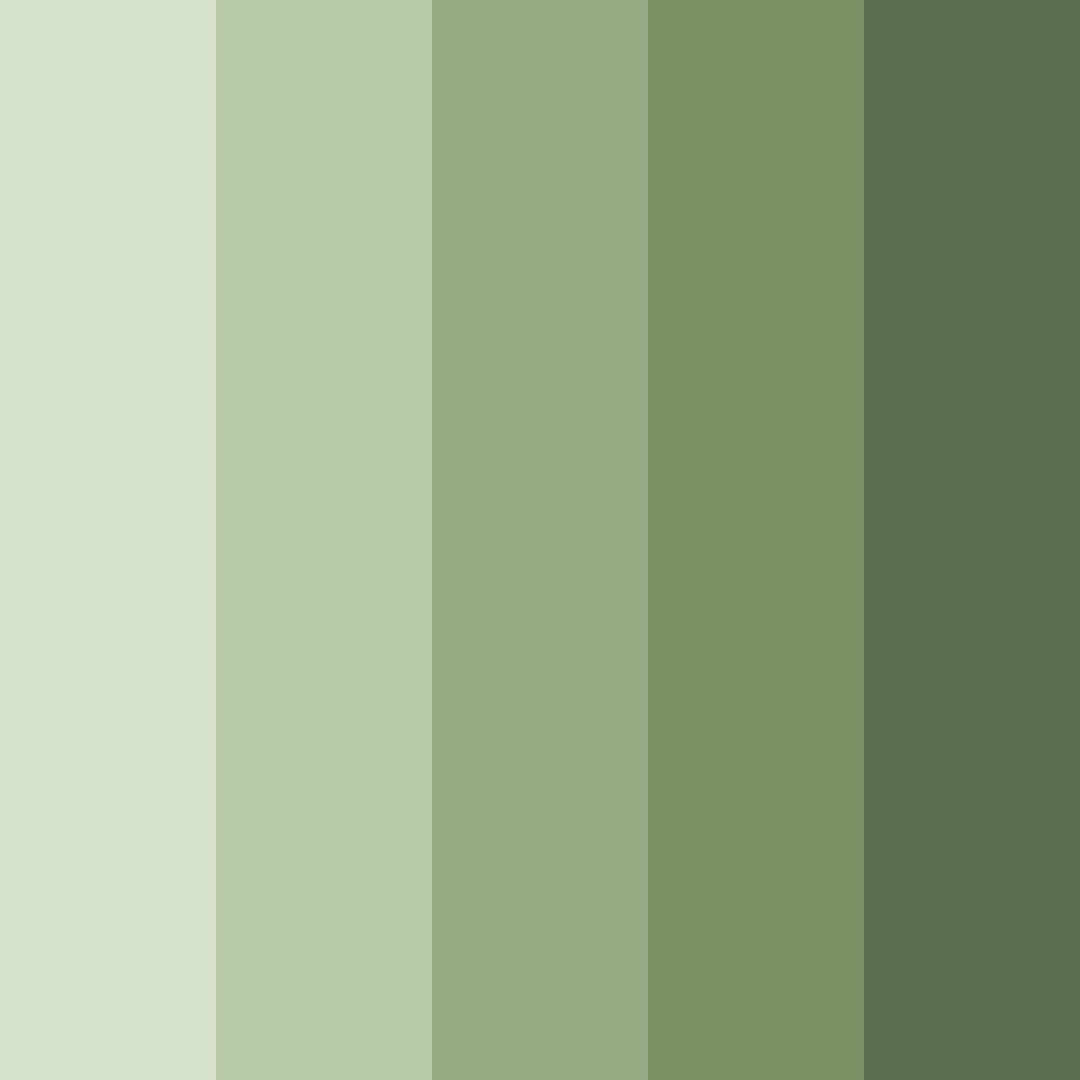 Download aspen grove whisper color palette PNG image (square)