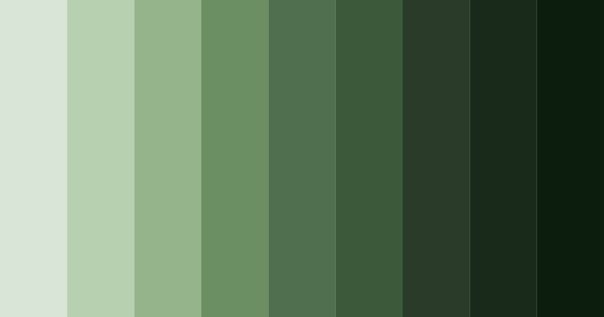 Download forest floor harmony color palette PNG image (landscape)