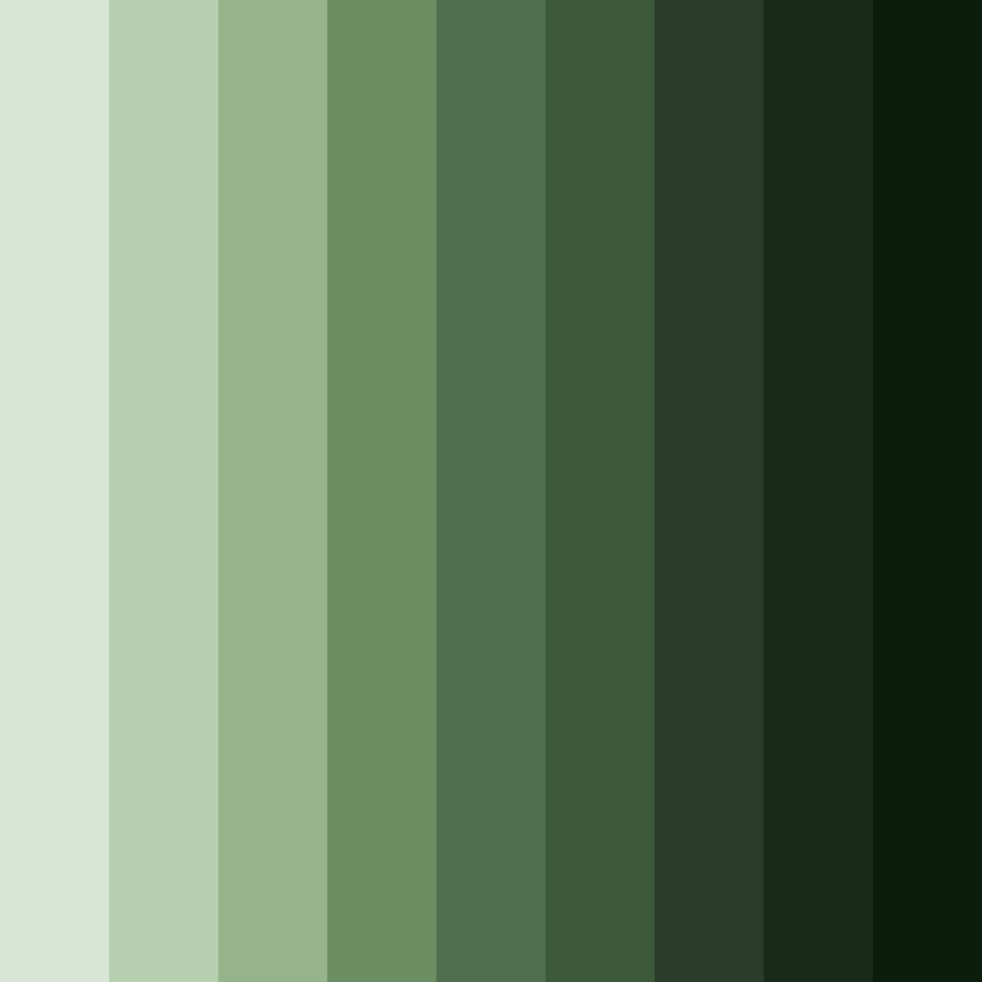 Download forest floor harmony color palette PNG image (square)
