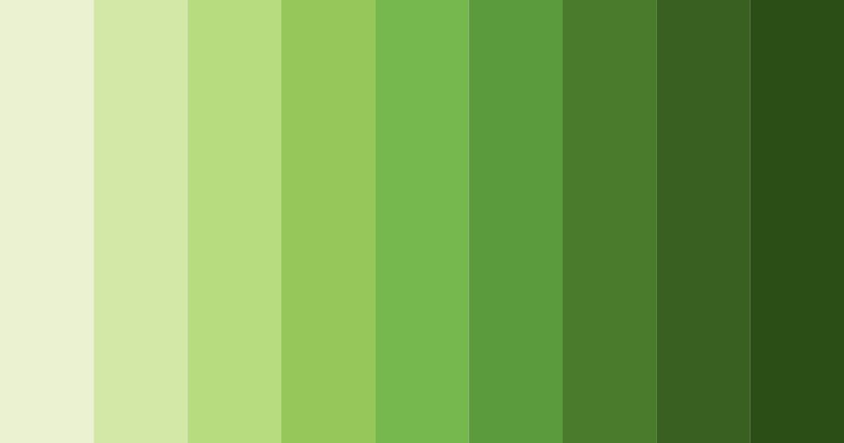 Download sunlit forest harmony color palette PNG image (landscape)