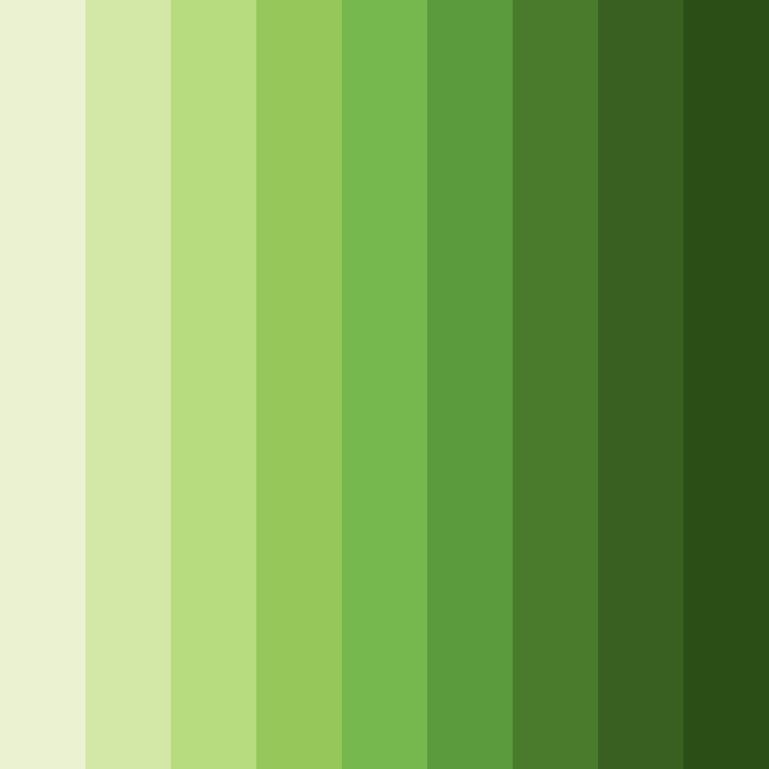 Download sunlit forest harmony color palette PNG image (square)