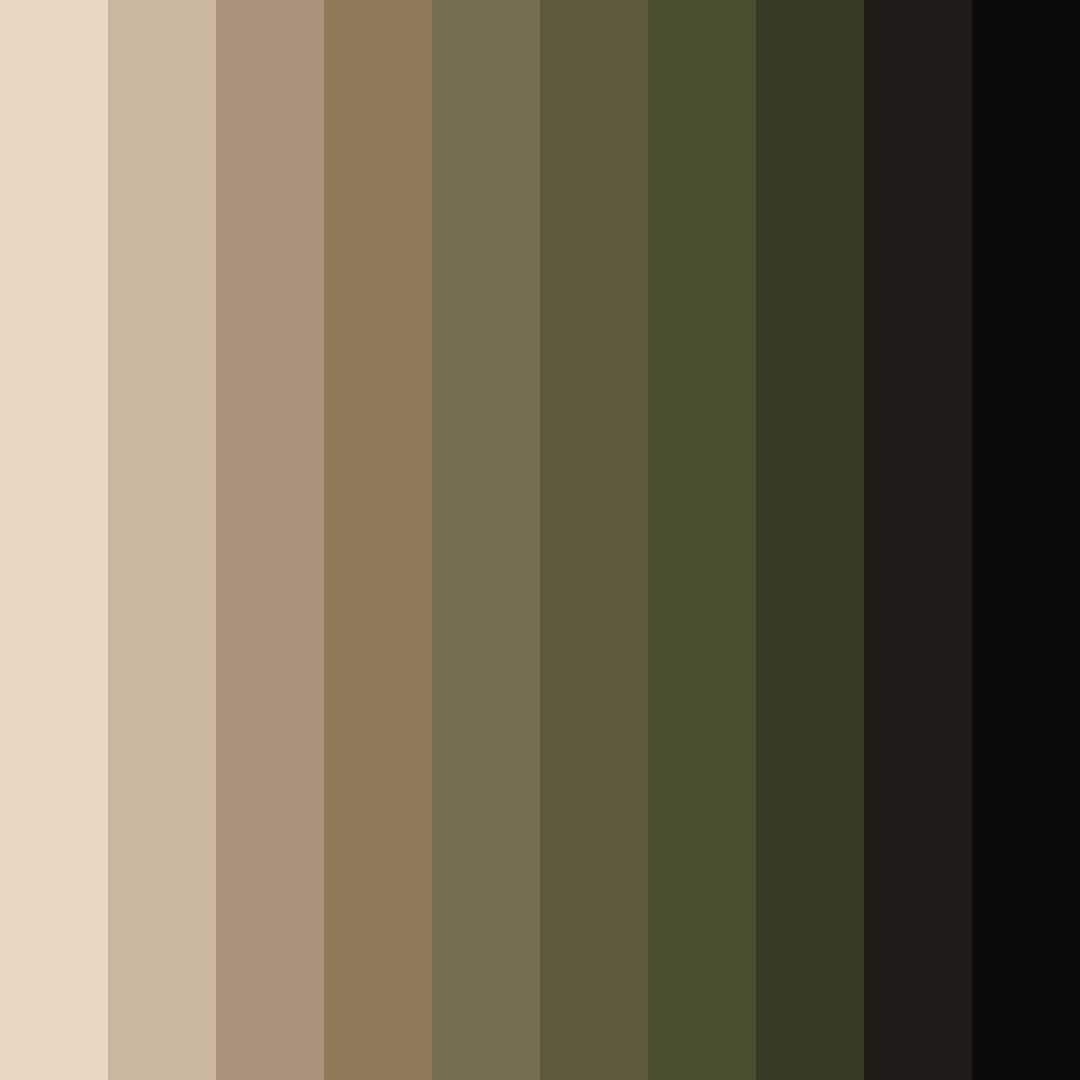 Download brown to white color palette PNG image (square)
