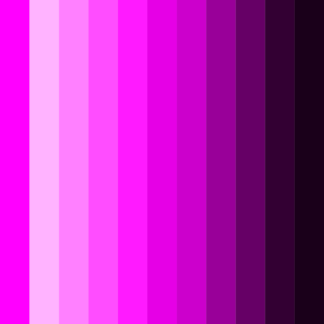 Download vivid orchid dreams color palette PNG image (square)