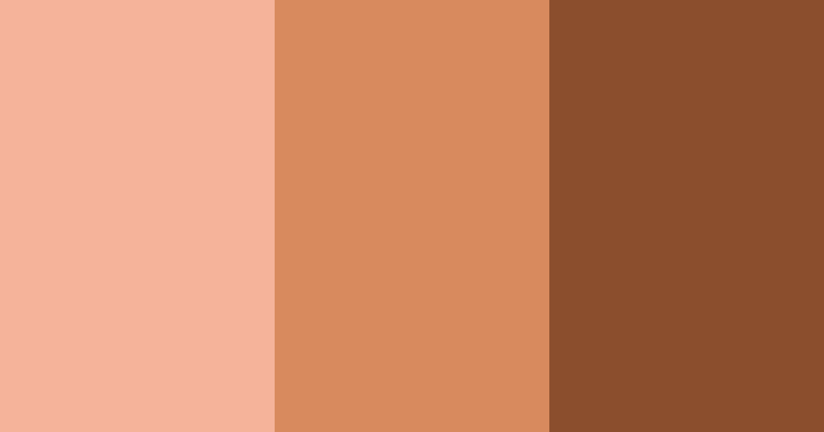 Download rustic ember color palette PNG image (landscape)