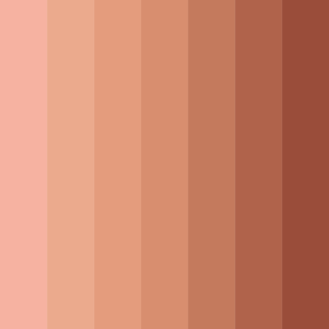 Download warm coral color palette PNG image (square)