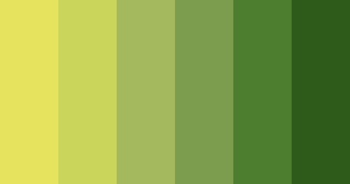 Download lush citrus grove color palette PNG image (landscape)