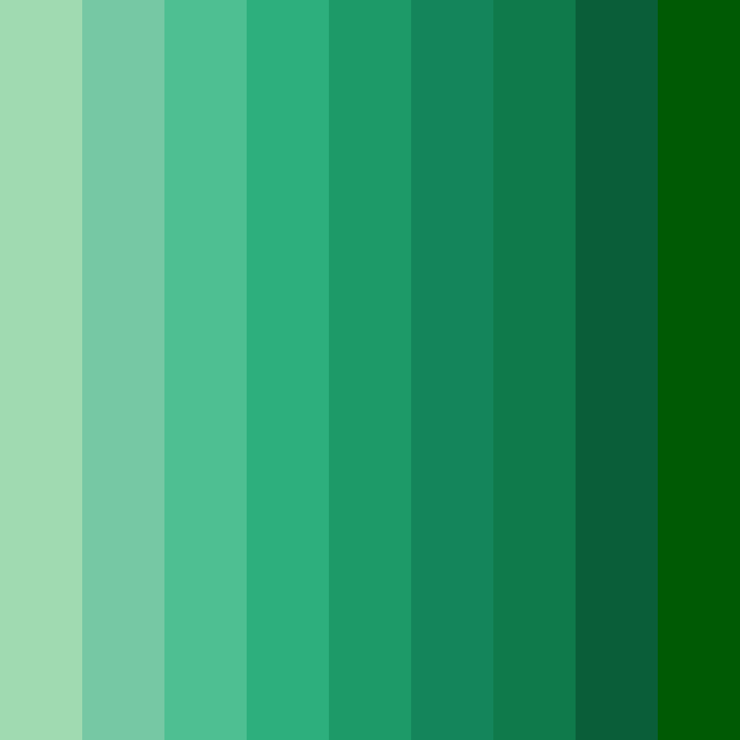 Download emerald forest color palette PNG image (square)