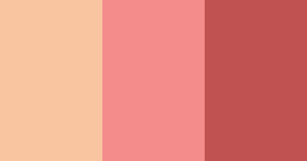 Download shades of red color palette PNG image (landscape)