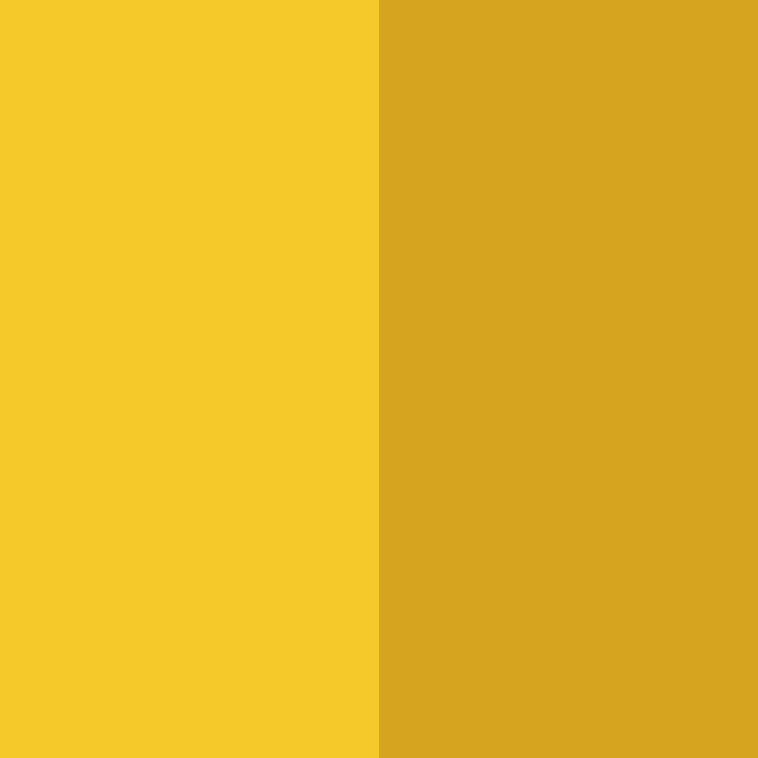 Download zaffron delight color palette PNG image (square)