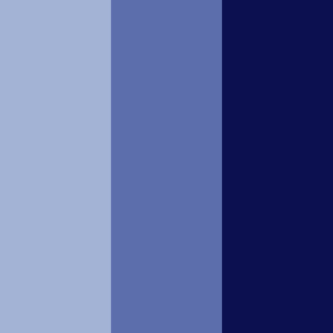 Download midnight dreams color palette PNG image (square)