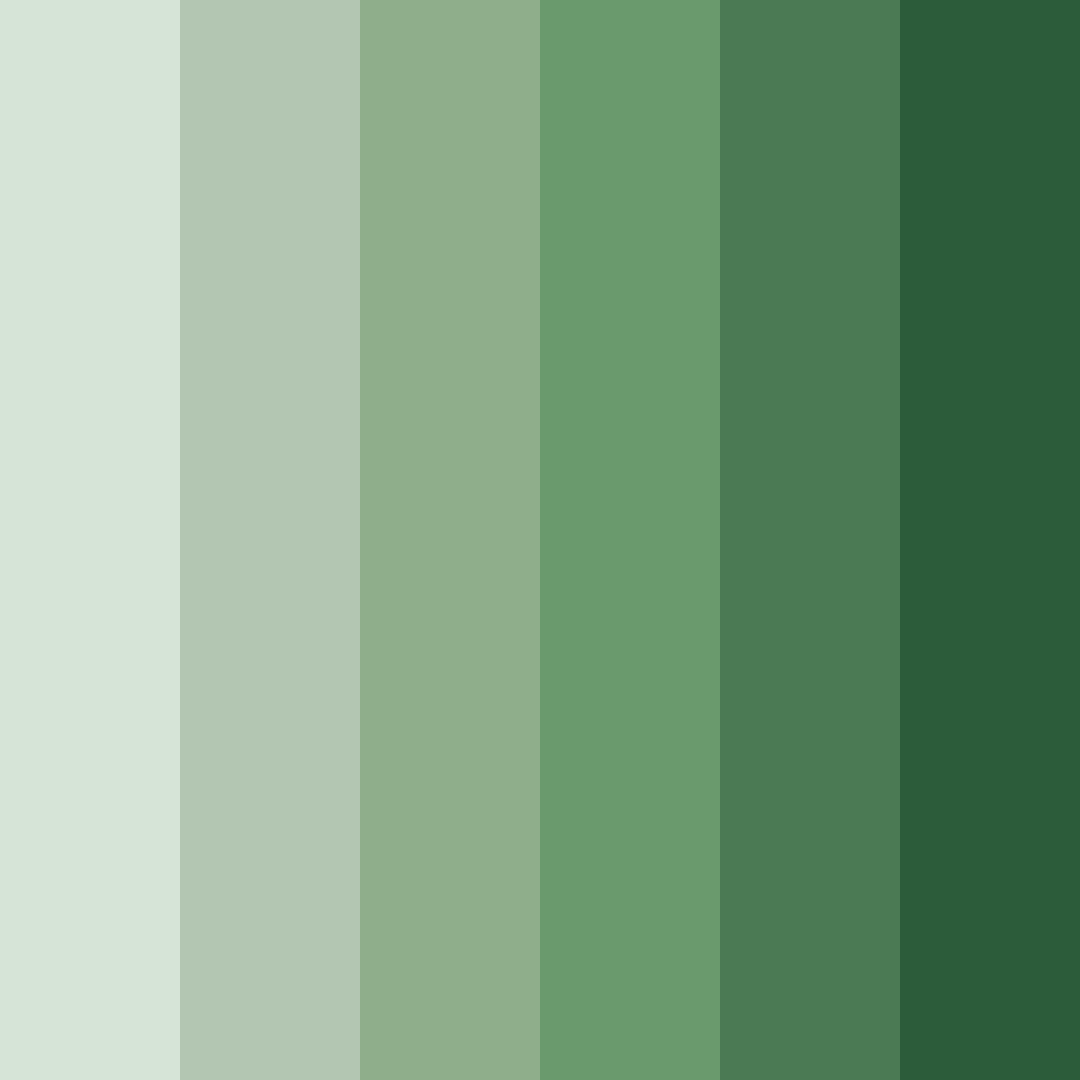 Download whispering grove color palette PNG image (square)