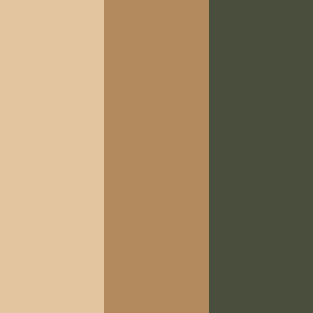 Download earthy whispers color palette PNG image (square)