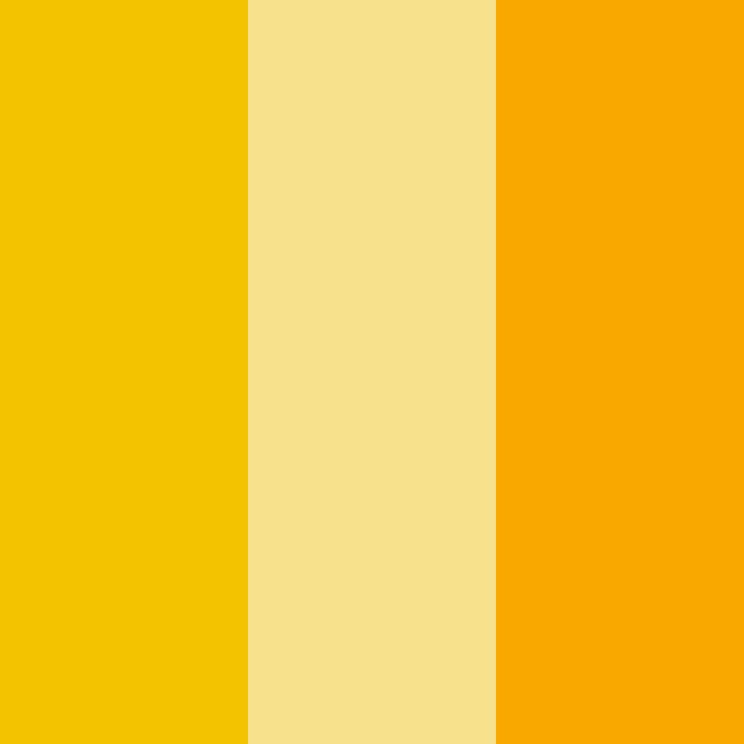 Download sunlit daffodil color palette PNG image (square)