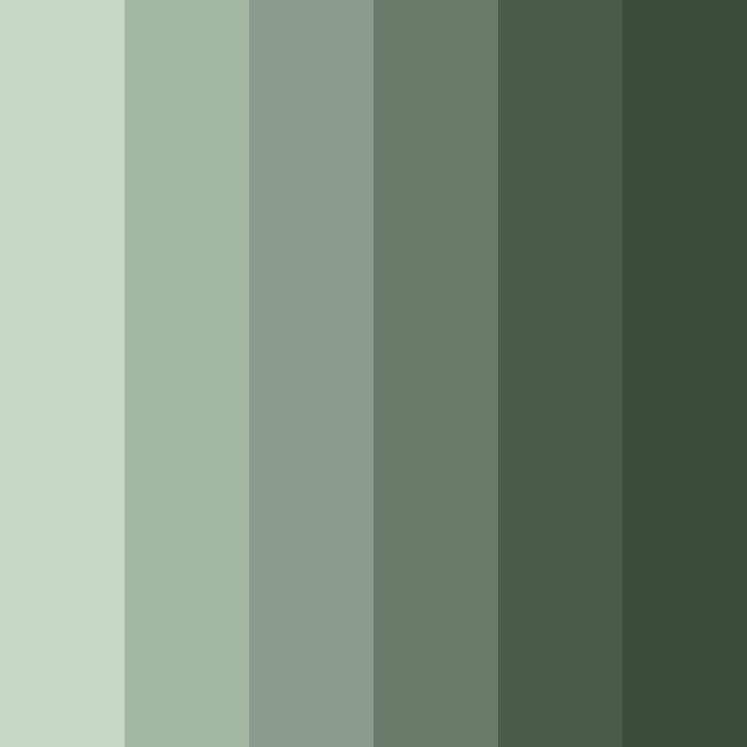 Download sagewood serenity color palette PNG image (square)