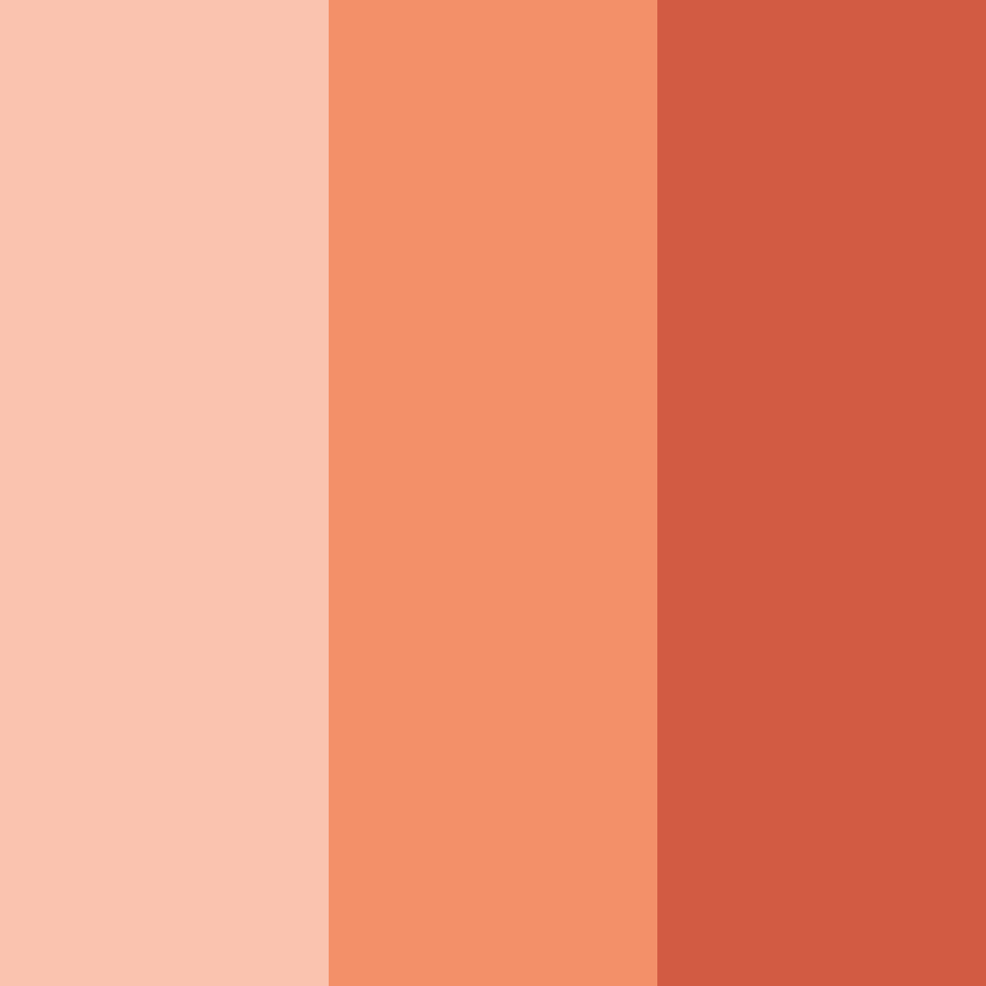 Download peachy tones color palette PNG image (square)