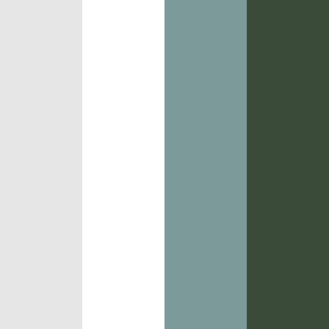 Download whispering forest color palette PNG image (square)