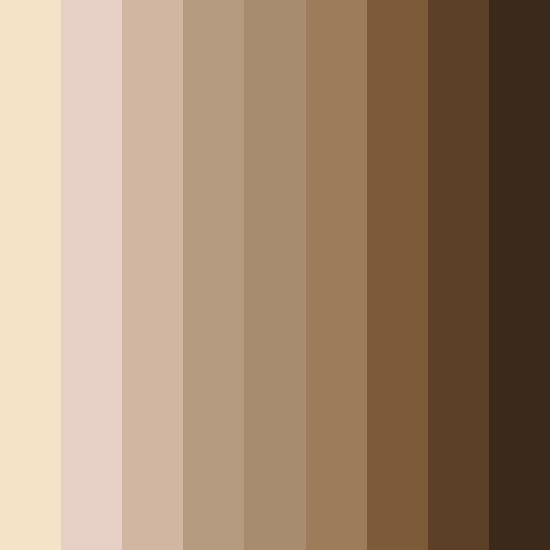 Download beige brown color palette PNG image (square)