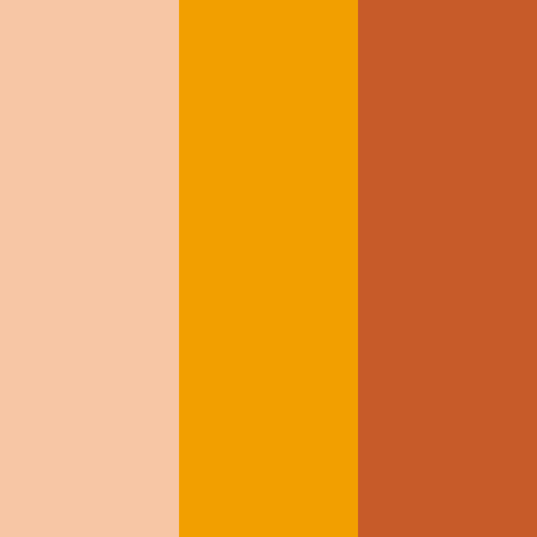 Download autumn glow color palette PNG image (square)