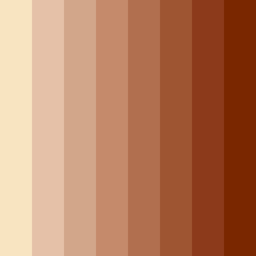 Download brown chocolate color palette PNG image (square)