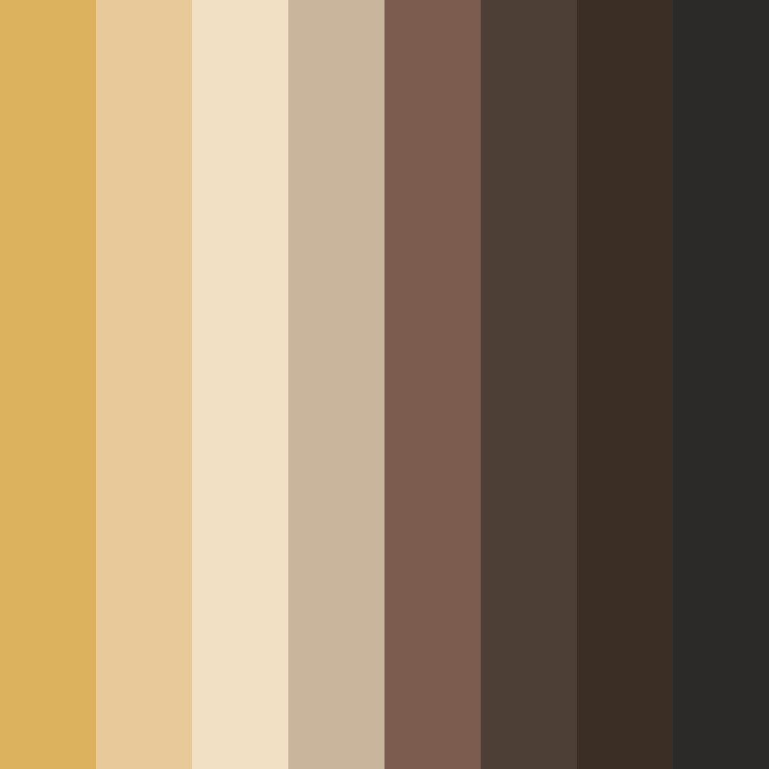 Download brown chocolate color palette PNG image (square)