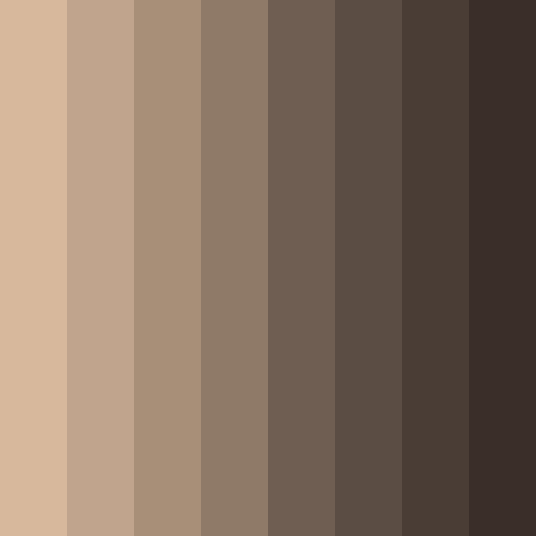 Download cedarwood embrace color palette PNG image (square)