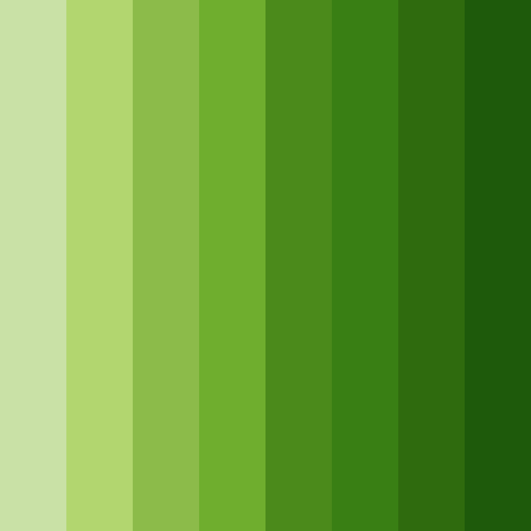Download emerald canopy color palette PNG image (square)