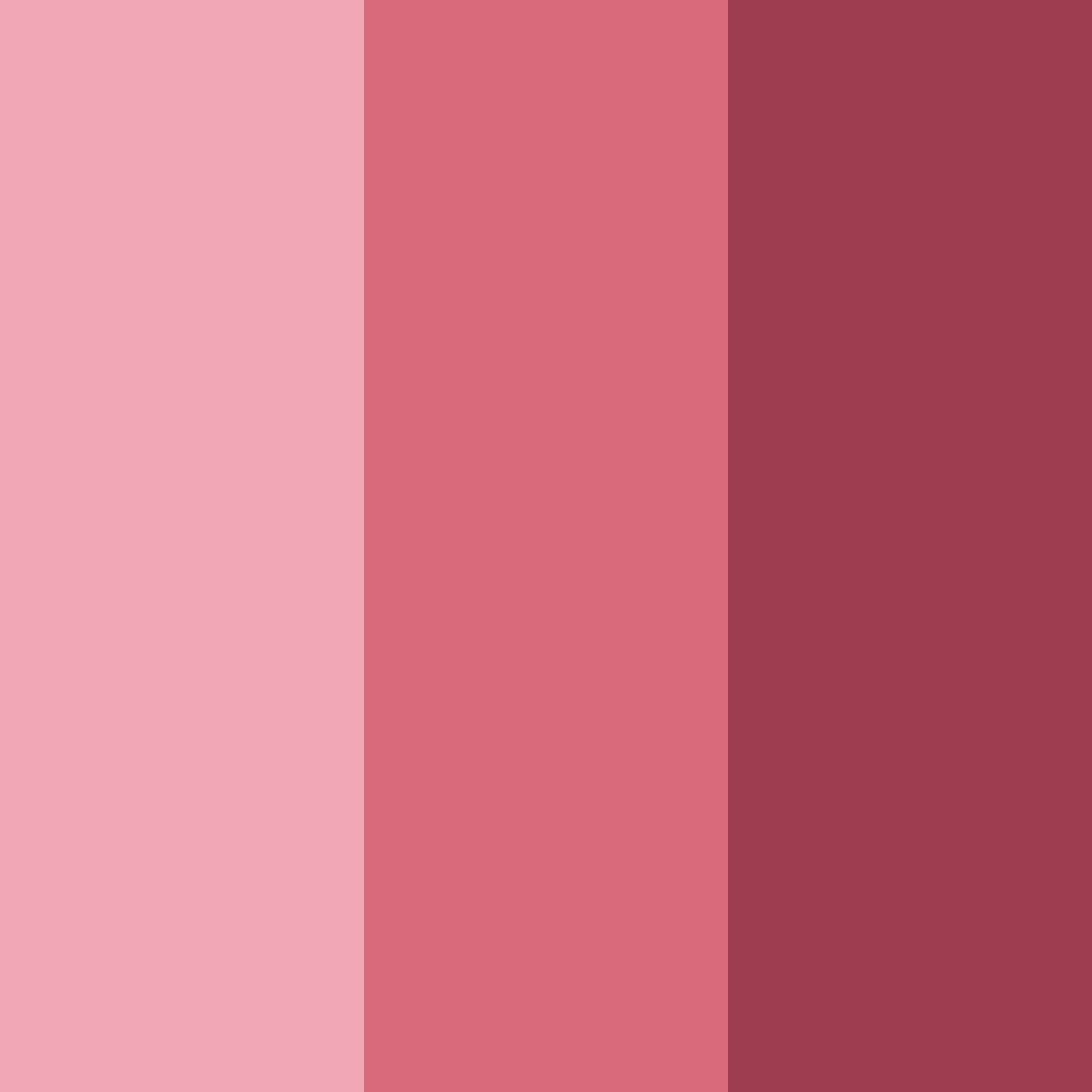 Download blossom embrace color palette PNG image (square)