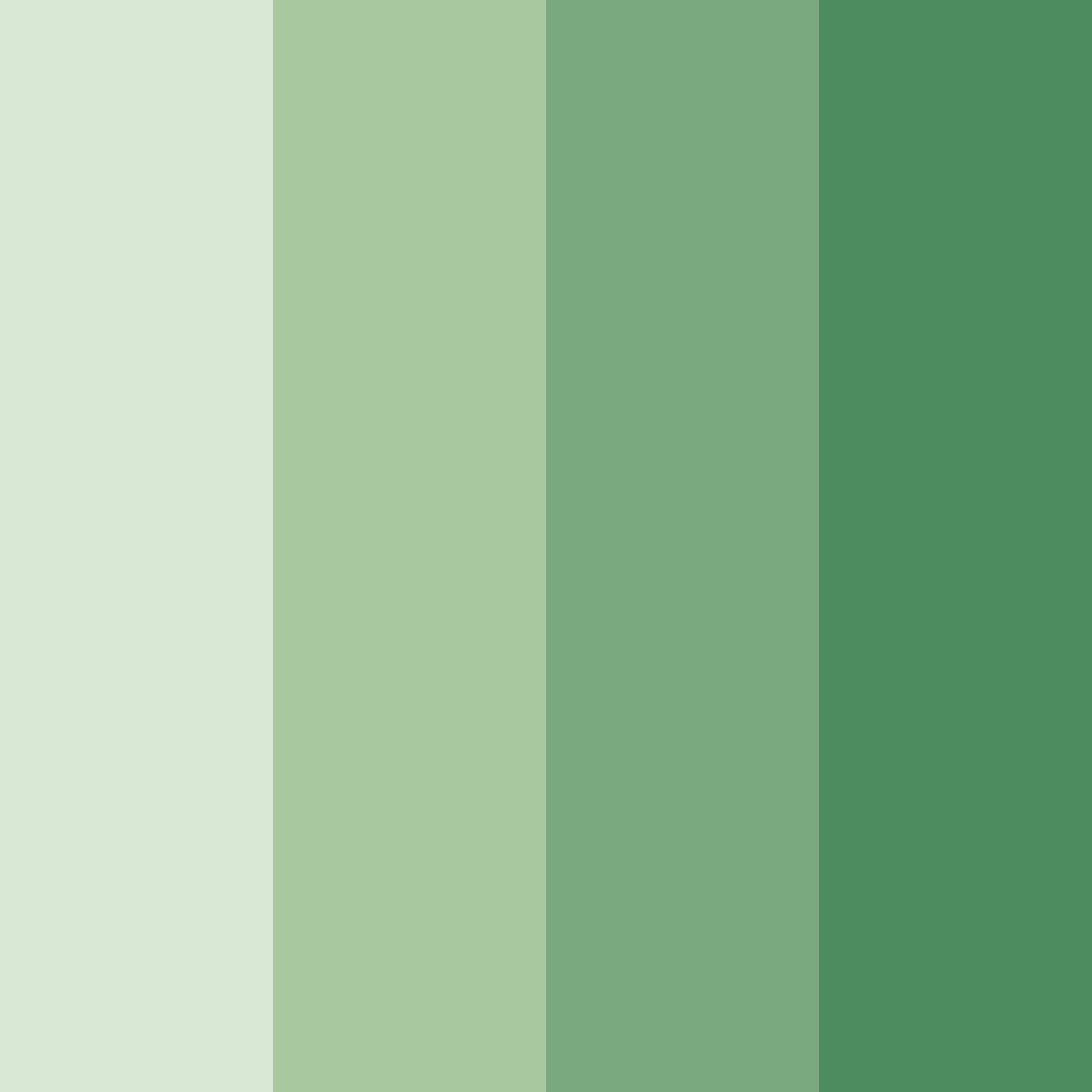 Download green tea serenity color palette PNG image (square)