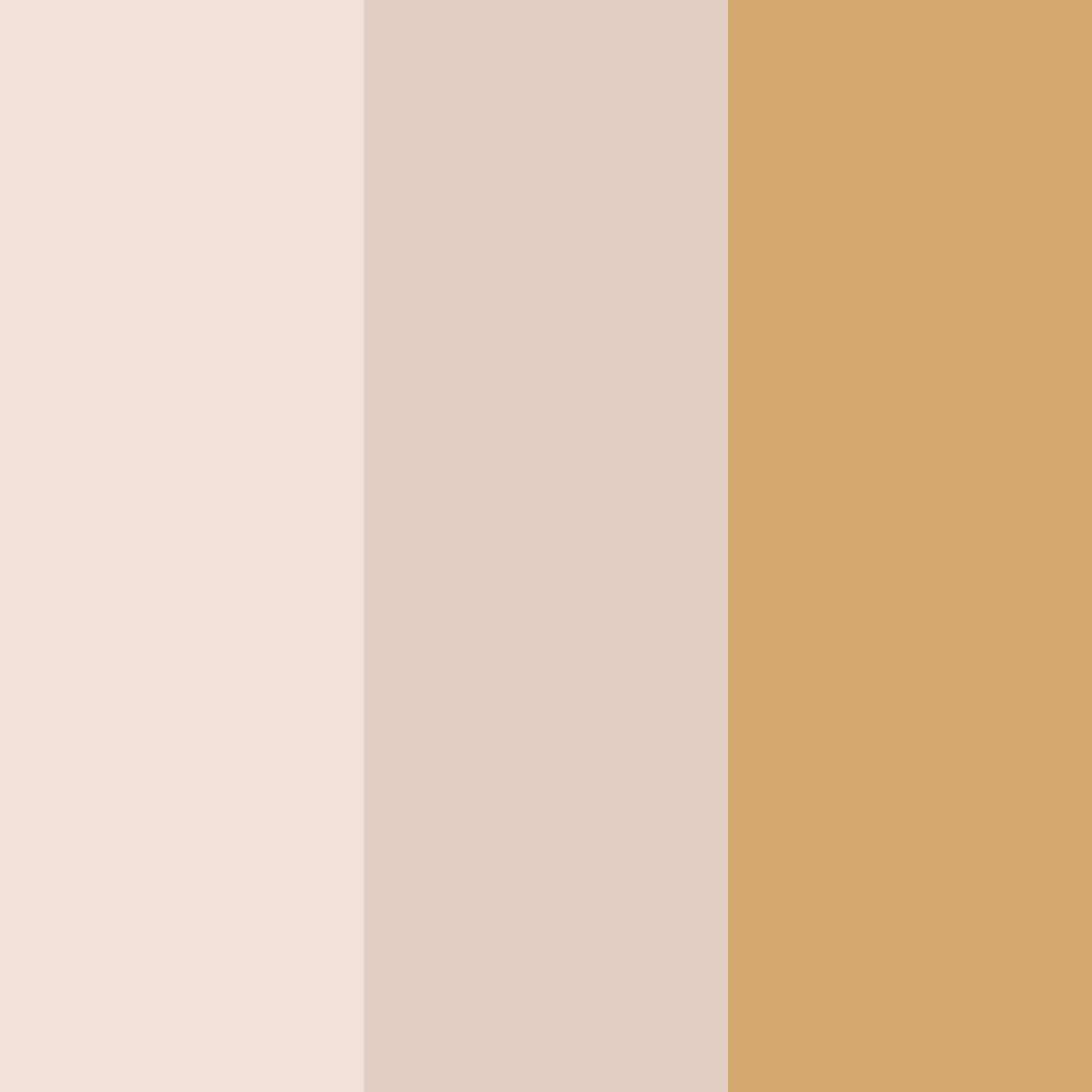 Download warm amber color palette PNG image (square)
