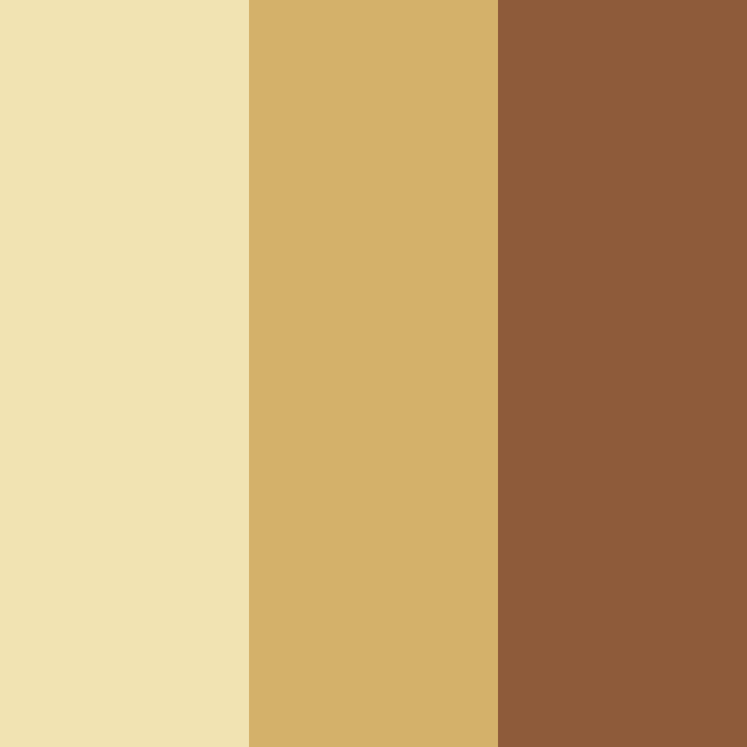 Download desert beige color palette PNG image (square)
