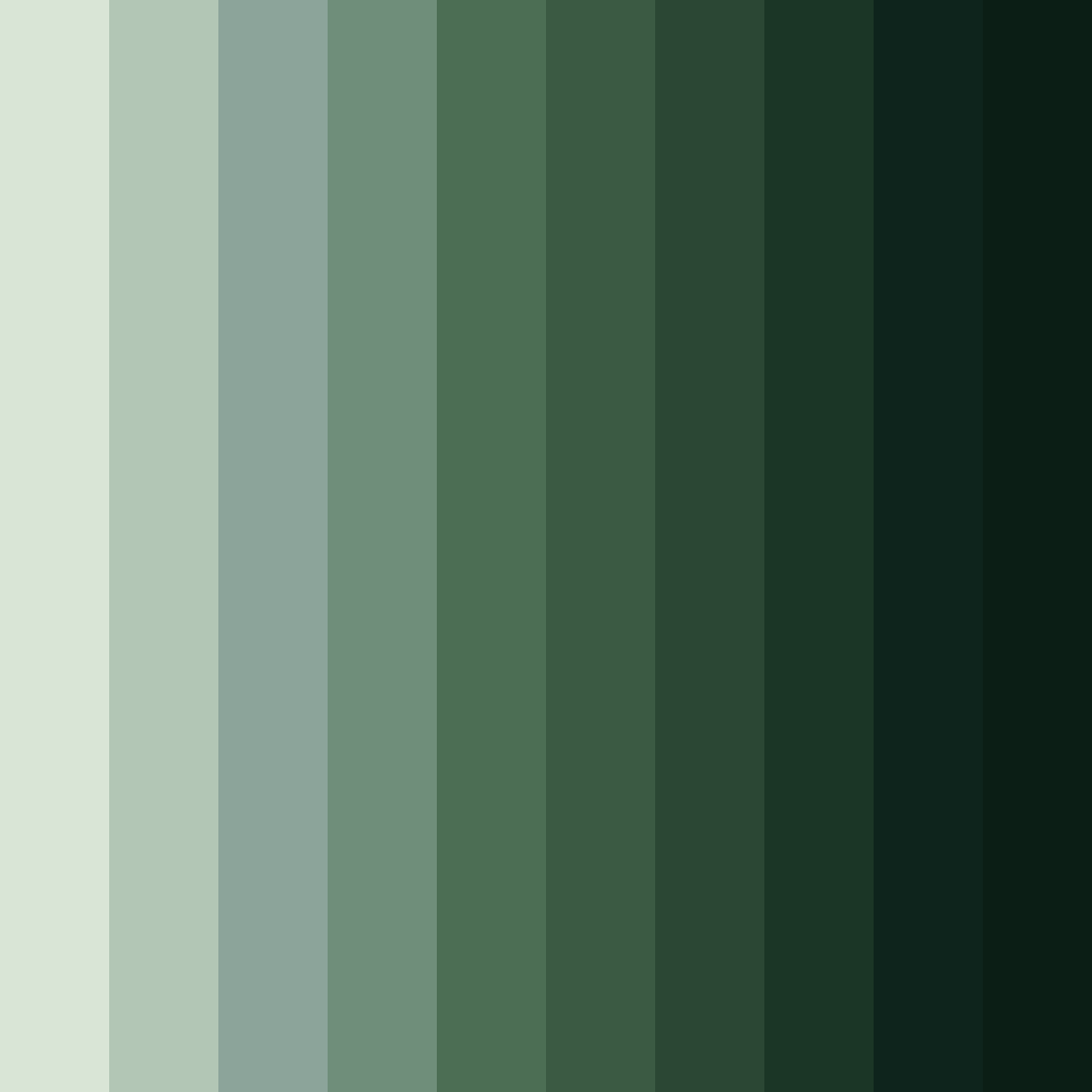 Download whispering woods color palette PNG image (square)