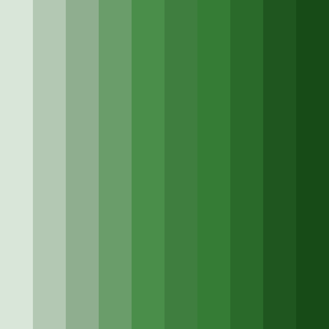 Download muted green color palette PNG image (square)