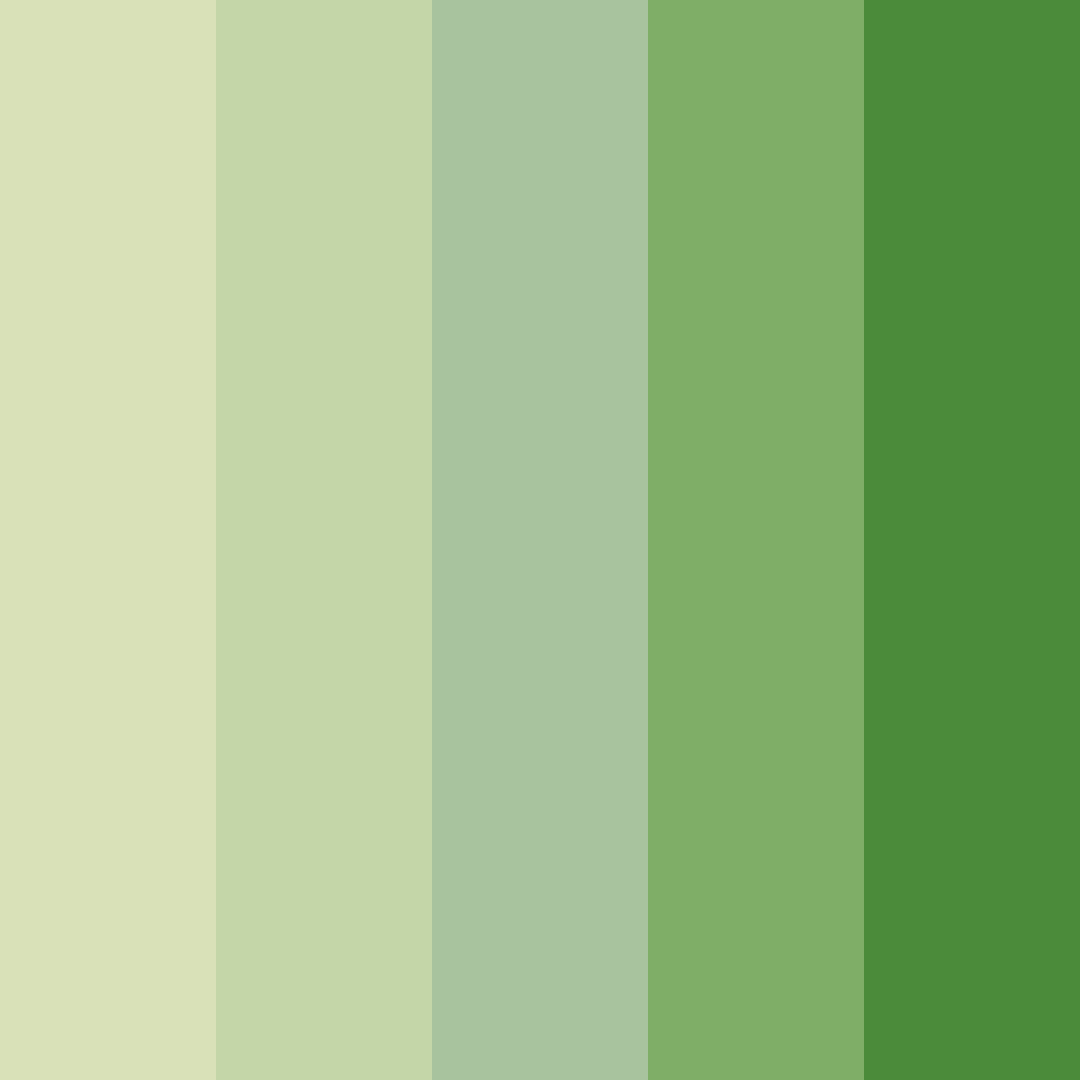 Download serene matcha bliss color palette PNG image (square)