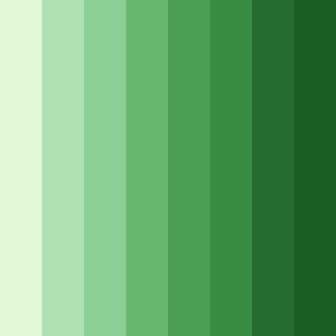 Download shades of green school color palette PNG image (square)