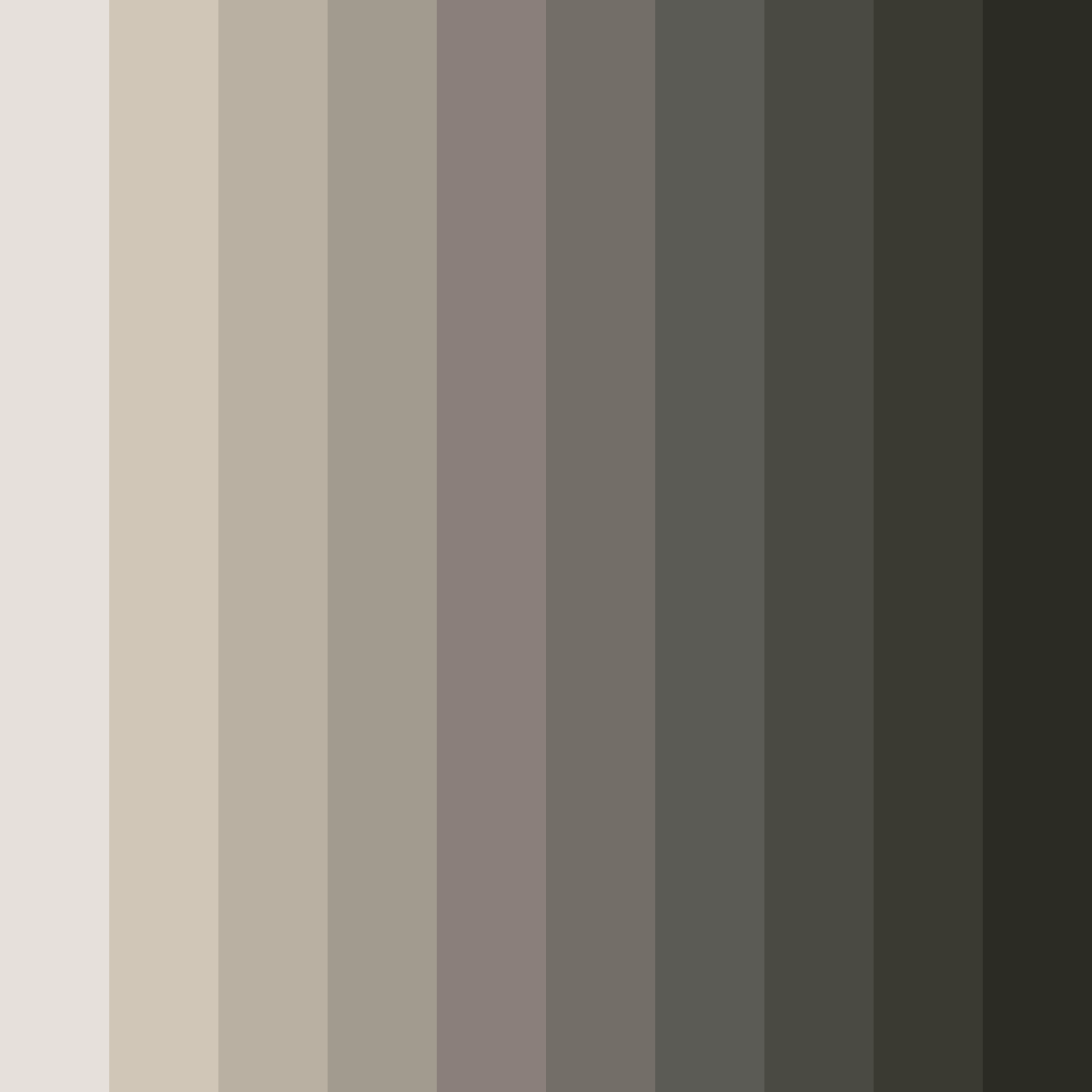 Download whispers of earth color palette PNG image (square)