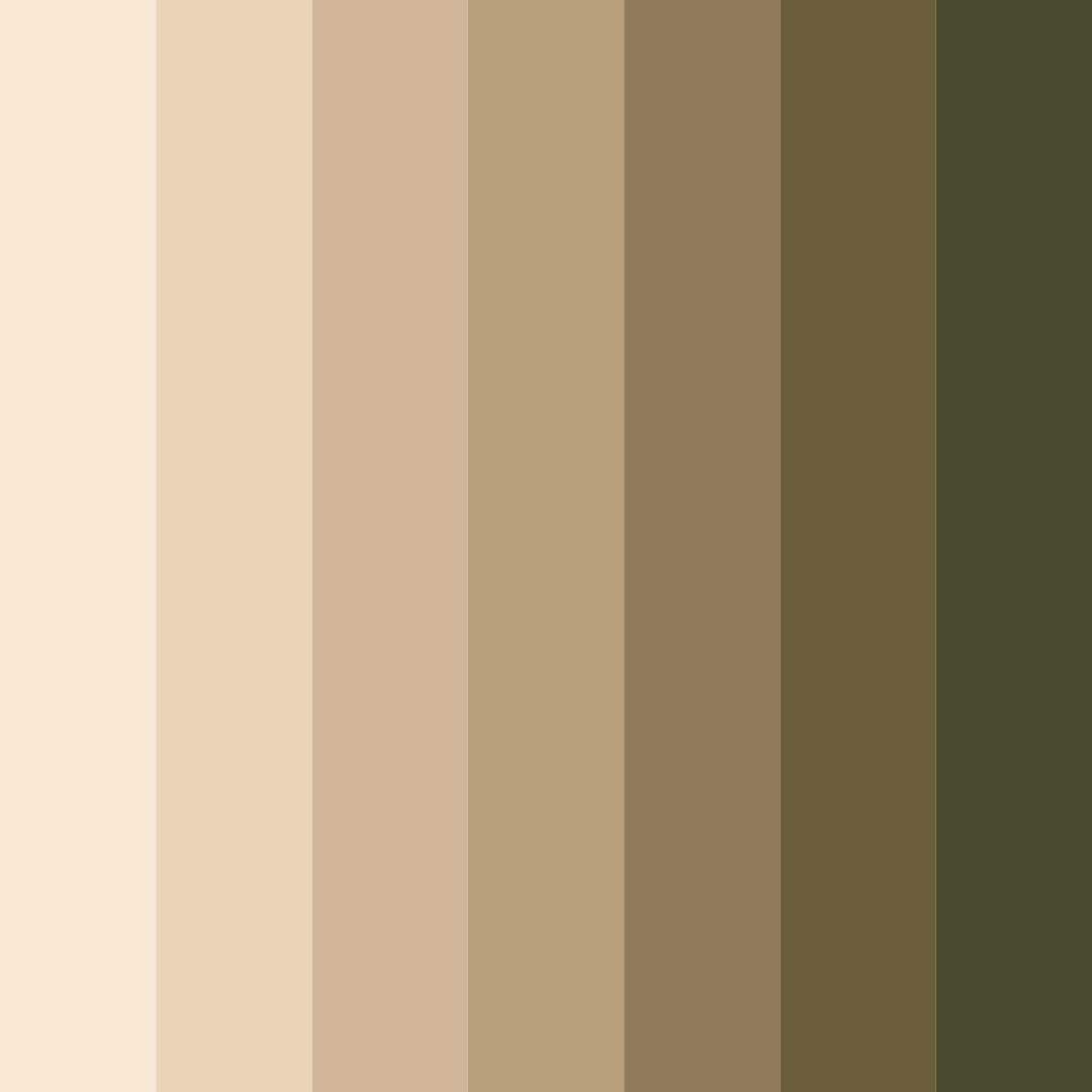 Download beige shades color palette PNG image (square)