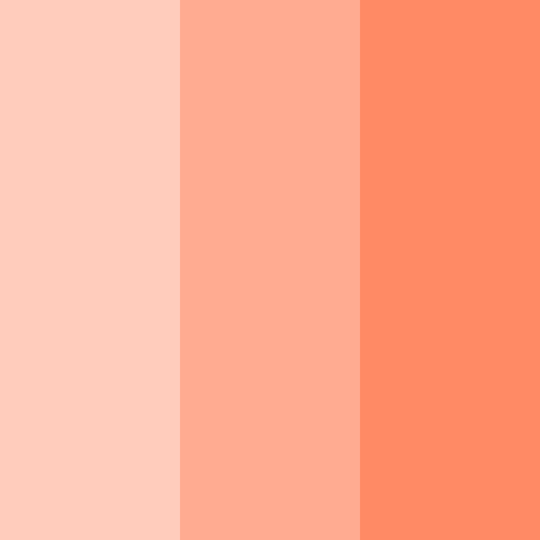 Download peachy coral color palette PNG image (square)