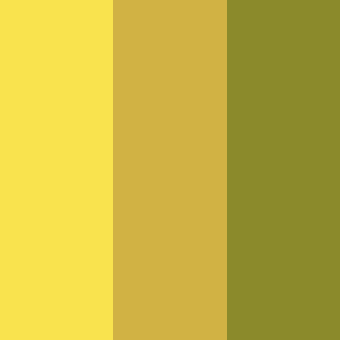 Download yellow tea color palette PNG image (square)